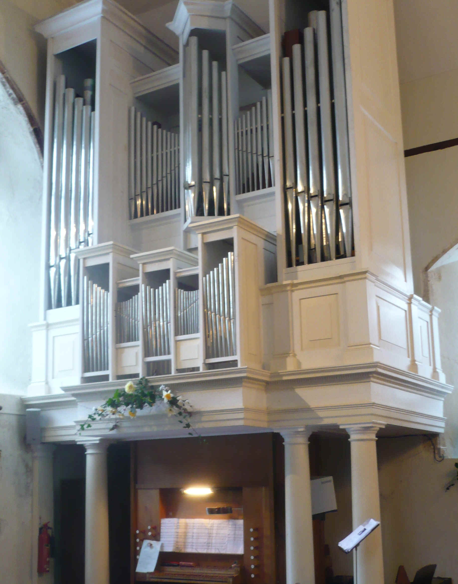 The organ